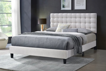 Steve Bed